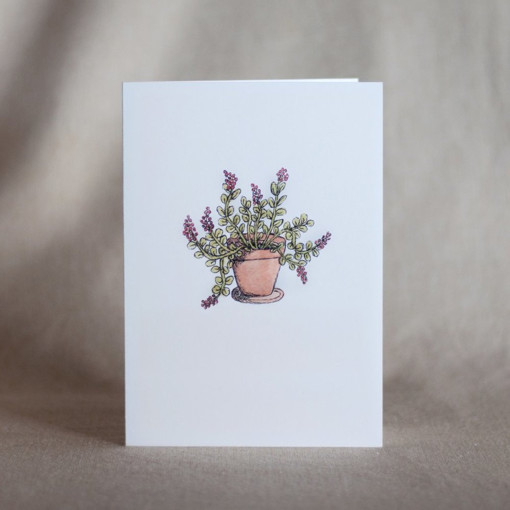 4/$20- Plant Blank Card